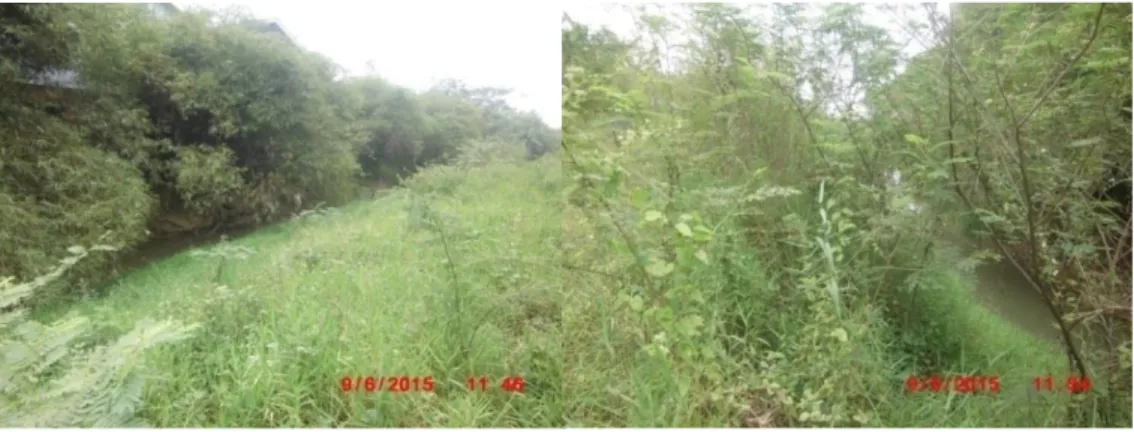 Gambar 1. Foto Sungai Cipegadungan  b.   Survey Lapangan 