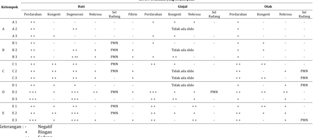 Tabel 8.   Hasil Pengujian Histopatologi Ikan Nila pada Berbagai Perlakuan A : Suplementasi Ulva sp