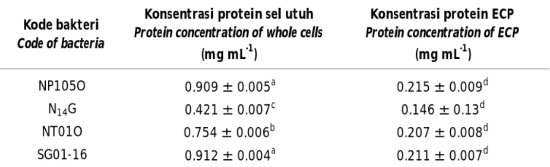 Tabel 4. Konsentrasi protein sel utuh dan ECP S.agalactiae Table 4. Protein concentration of whole cells and ECP S