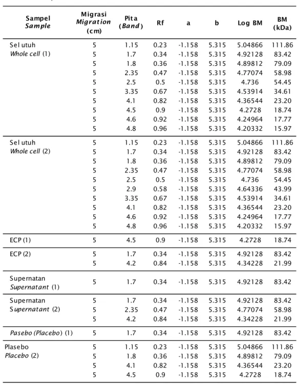 Tabel 4. Ukuran protein hasil SDS-PAGE bakteri S. agalactiae yang diinaktivasi dengan 0,5% formalin dan diinaktivasi dengan 3% NBF
