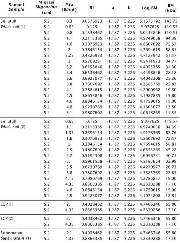 Tabel 3. Ukuran protein hasil SDS-PAGE bakteri A. hydrophila yang diinaktivasi dengan 0,5% formalin dan diinaktivasi dengan 3% NBF