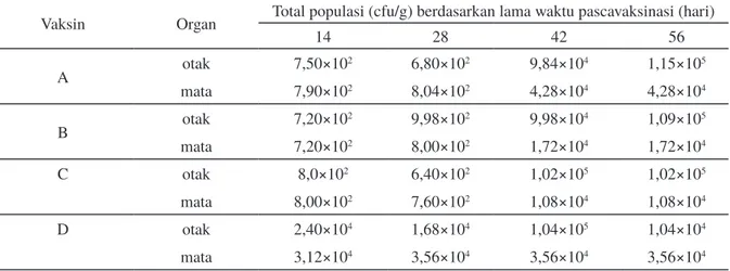 Tabel 3. Total populasi S. agalactiae pada organ mata dan otak ikan pascavaksinasi