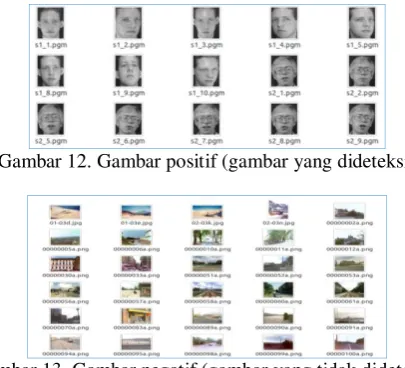 Gambar 12. Gambar positif (gambar yang dideteksi) 