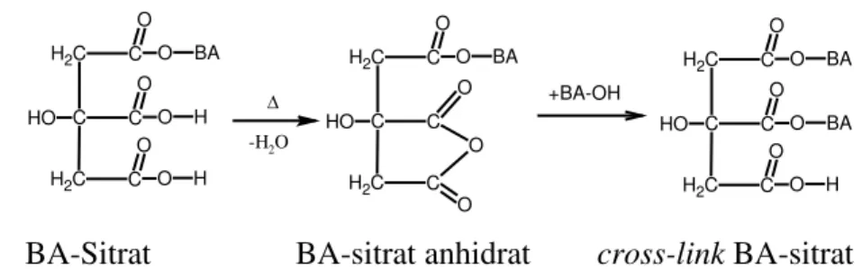 Gambar 4. Reaksi pemanasan lebih lanjut pada BA-Sitrat akan menghasilkan cross-link BA- BA-sitrat [6,9,11] 