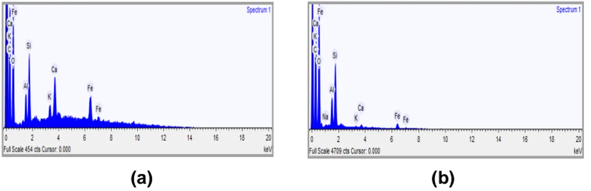 Gambar 3. Spektra EDX biomassa A. microphylla non esterifikasi (a), Spektra EDX   biomassa A