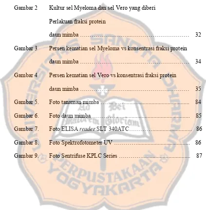 Gambar 2 Kultur sel Myeloma dan sel Vero yang diberi  