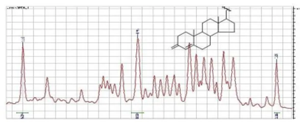 Gambar  6.  Perbesaran  spektrum  1 H-NMR  proton  metil  pada   H   1,16  ppm,   H   0,95  ppm dan  H  0,69 ppm