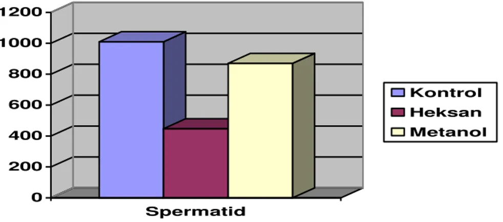 Gambar  1 Histogram jumlah sel spermatid pada mencit Balb-C setelah diberikan 0,5 ml  fraksi  heksan dan fraksi metanol ekstrak biji papaya muda selama 36 hari