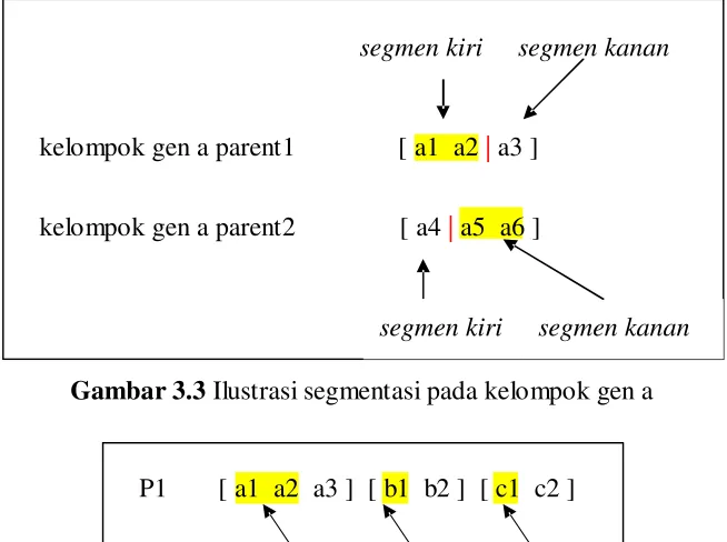 Gambar 3.3 Ilustrasi segmentasi pada kelompok gen a 