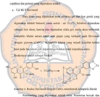 Gambar 4. Reaksi flavonoid dengan CaSO4 membentuk kompleks khelat 