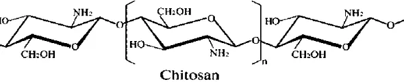 Gambar I.3. Struktur Khitosan 