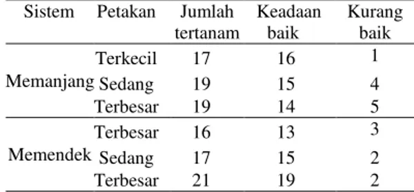 Tabel 4. Hasil Kerja Penanaman Mesin  Rice  transplanter  Sistem  Luasan    (m 2 )  Ukuran (P × L)  (m)  Lebar  kerja  alat   (m)  Jumlah   Lintasan  Memanjang  400  (10 × 40)  1,20  8 700  (13,23 × 52,92) 1,20  11  1.000 (15,81 × 63,24)  1,20  13  Memende