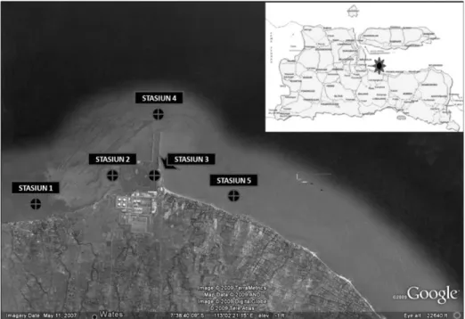 Gambar 1. Peta lokasi penelitian moluska bentik di sekitar PLTU Grati, Pasuruan. 