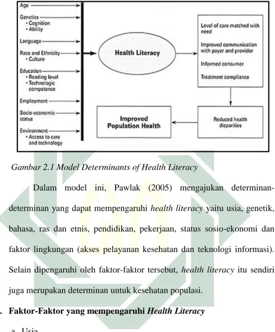 Gambar 2.1 Model Determinants of Health Literacy 