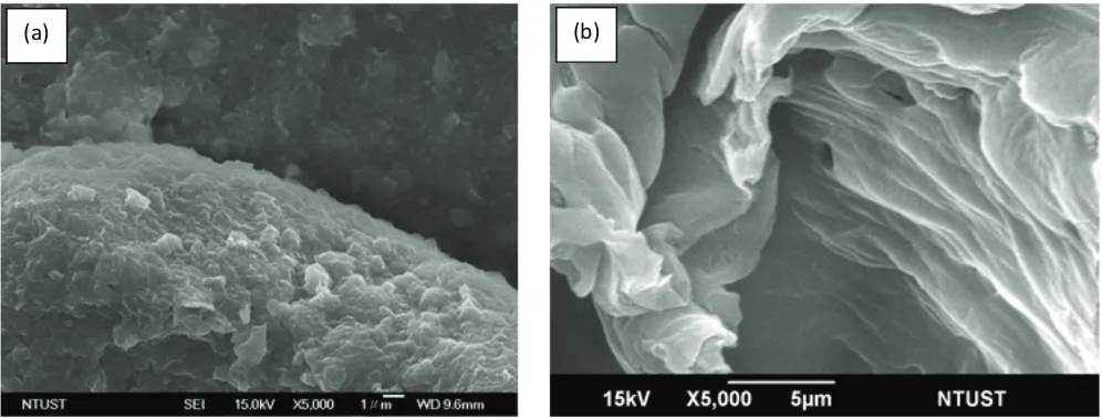 Fig. 4. SEM images of (a) bentonite and (b) bentonite – biochar nanocomposite.