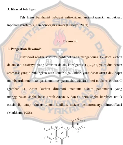 Gambar 1. Kerangka dasar flavonoid beserta penomorannya