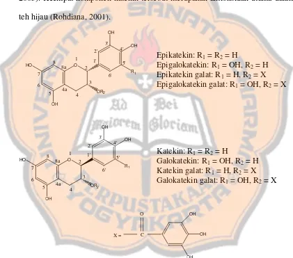 Gambar 2 . Struktur kimia katekin teh dan epimernya