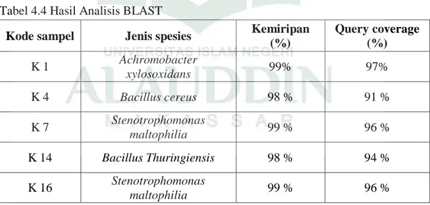 Tabel 4.4 Hasil Analisis BLAST 