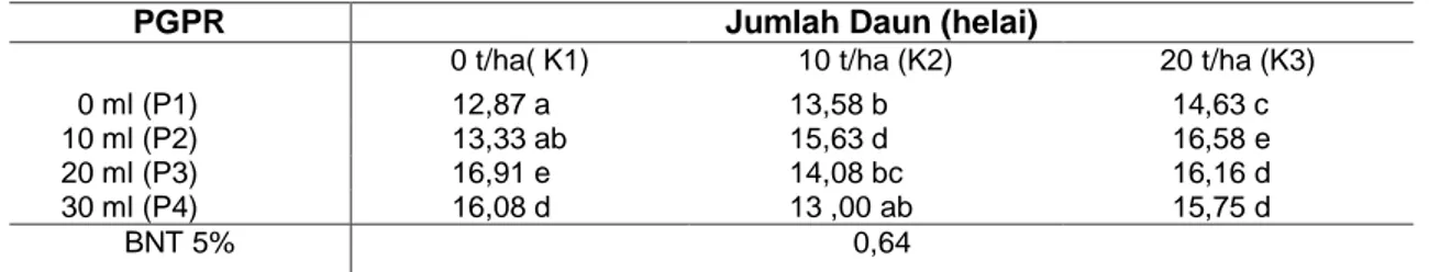 Tabel 2 Rata-rata Jumlah Daun Akibat Perlakuan Pengaruh PGPR Interaksi Perlakuan PGPR  dan Pupuk Kotoran Kelinci 28 HST 