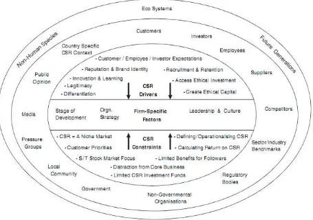 Figure 3.  An Illustration of CSR Drivers and Constraints 