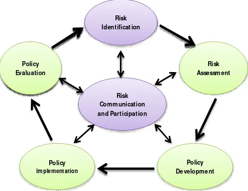 Figure 1.  Risk Management Cycle (Chorus and Bartram, 1999) 