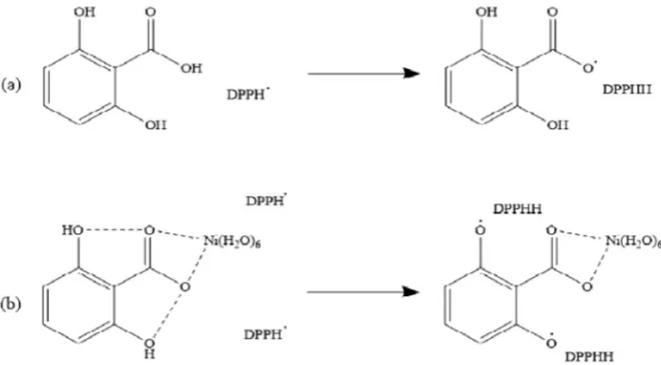 Fig. 7. Microbial growth inhibition activities of DHBA, NiDHBA and CoDHBA. *Ampicilin was used as the standard reference., ampicilin;, DHBA;, NiDHBA;, CoDHBA.