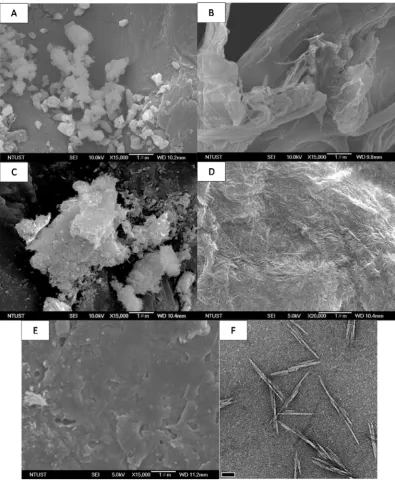 Fig. 2. Morphological image of (A) waste paper, (B) paper after treatment, (C) bentonite, (D) NCC, (E) composite, and (F) TEM of NCC.
