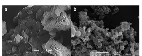 Fig. 3Scanning electron micrographs of AAB clay (a) and 1% Pt@TiO2catalysts (b).