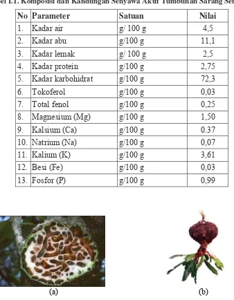 Tabel I.1. Komposisi dan Kandungan Senyawa Aktif Tumbuhan Sarang Semut [2] 