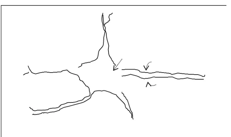 Gambar 2. Skema Fisiologis Neuron