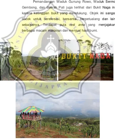 Gambar 3.3  Objek Wisata Bukit Naga di Agrowisata Jollong Sumber : Dokumen Pribadi (2017)  