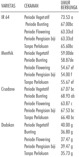 Tabel menunjukkan saat umur 6 minggu varietas Dodokan mempunyai nilai volume akar paling kecil, hal ini karena adanya serangan hama pada tanaman yang dijadikan sampel tersebut