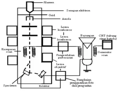 Gambar 2.9 Skema dasar SEM 