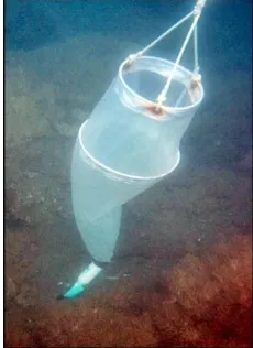 Figure 2. Nansen Bottle. 