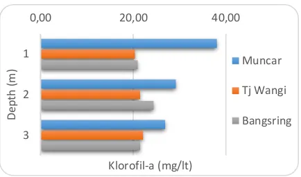 Figure 11. Bali strait Chlorophyll-a profiles in 3 different stations, Muncar, Tanjung Wangi dan Bangsring coastal areas at 3 different depth, surface, secchi disc and twice secchi disc depth