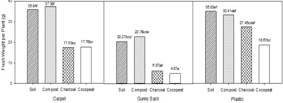 Figure 1. Fresh weight of plant on three different materials and using four kind of planting media