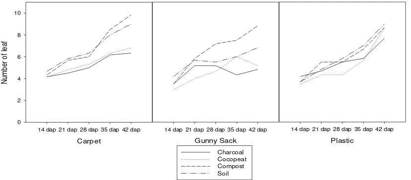 Figure 2. Relationship between number of leaf and days after planting of Pakchoy on the three different materials and the four planting medias