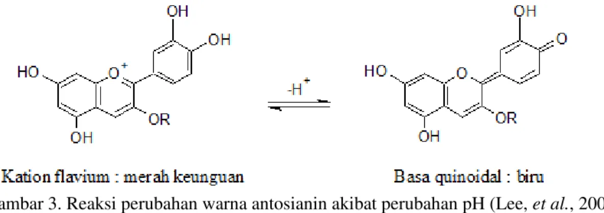 Gambar 3. Reaksi perubahan warna antosianin akibat perubahan pH (Lee, et al., 2005) 