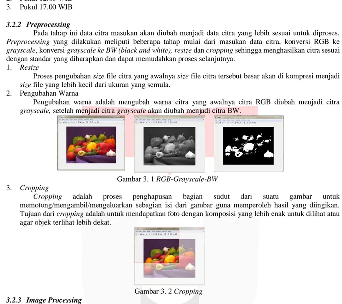 Gambar 3. 2 Cropping 3.2.3  Image Processing 