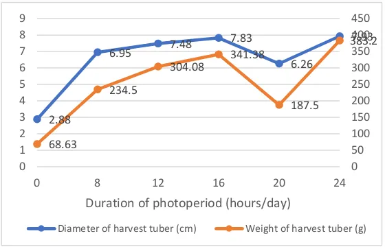 Figure 3. The Height and Diameter of Bud As a Respond of Dormancy Breaking of Porang’s Tuber on Several Duration of Photoperiod Treatment