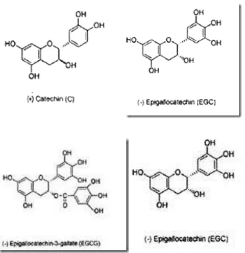 Gambar 1. Struktur kimia katekin, epikatekin, epigalokatekin galat epigalokatekin (Ramayanti, 2003)