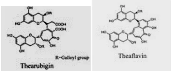 Gambar 2. Stuktur kimia theaflavin dan thearubigin (www.rumahteh.com) 