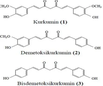 Gambar 3. Struktur kimia kurkuminoid                             Sumber : Muffidah, 2015 