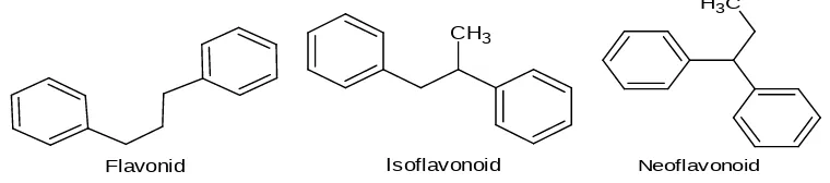 Gambar 2.6 Struktur Senyawa Flavonoid