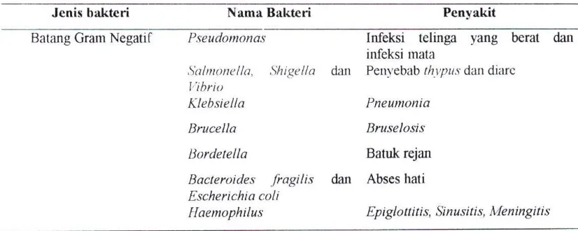 Tabel 2.6. Beberapa Infeksi Asal Udara yang dapat disebabkan oleh Bakteri Gram Positif dan Gram Negatif 
