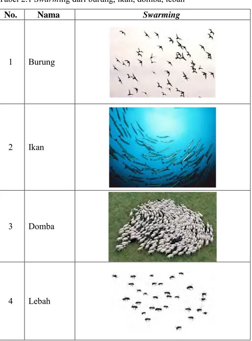 Tabel 2.1 Swarming dari burung, ikan, domba, lebah 