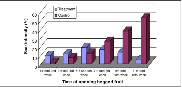 Table 1. Scar intensity based on the opened period of bagged fruit on mangosteen