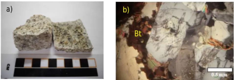 Gambar  5.  a). Sampel Granit Tempilang berukuran mineral sedang dan seragam.    b). Penampakan paleokroik halo pada biotit