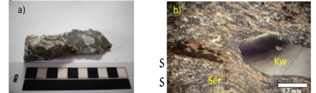 Gambar  6.  a).  Penampakan  megaskopis  tekstur  porfiri  dan  megakris  K-feldspar  pada  Granit Penyamun (BLN/240 A)