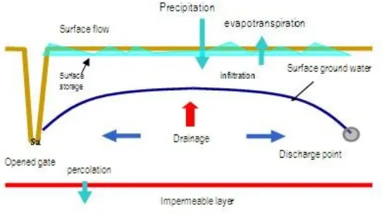 Figure 2.Components of water balance in DRAINMOD model